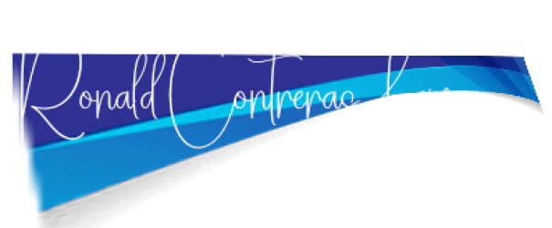 Asesor en Tecnologia de Gobiernos y Empresas